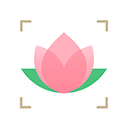 识花app下载