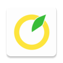 柚子单词app最新版