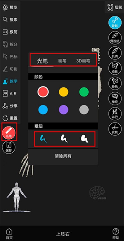 解剖大师app下载2025最新版