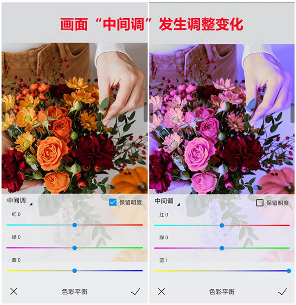 熊猫绘画18