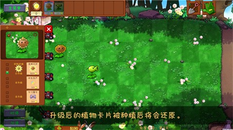 植物大战僵尸共生版正版