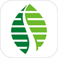 雄安行app下载 v3.13.6