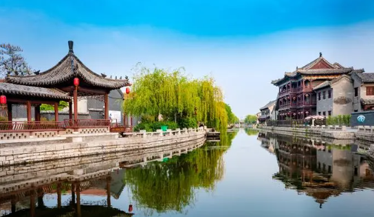 我的南阳app手机版下载