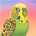 BirdKind  V1.23下载