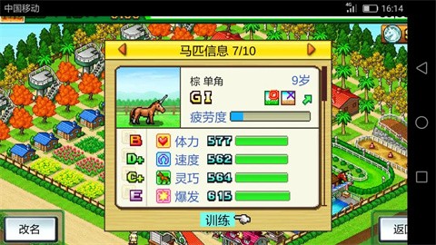 赛马牧场物语官方版