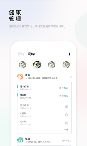 γappv2.0.36