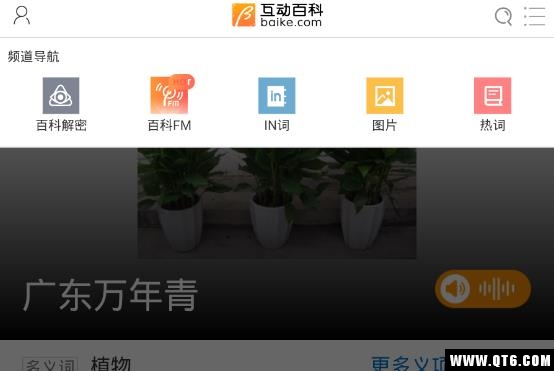 识花