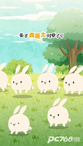 兔子真是太可爱了