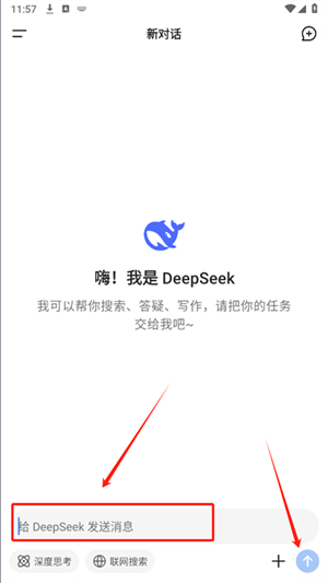 DeepSeekȸ