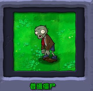 PVZӽư
