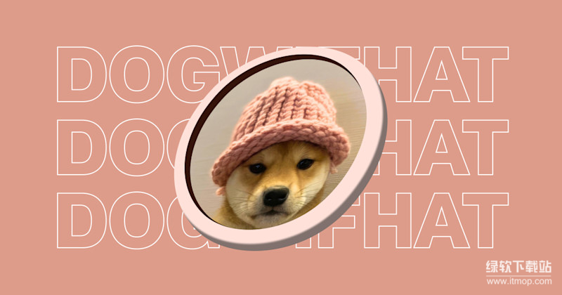 WIF币总量多少？是否有通缩或销毁机制影响其价格？