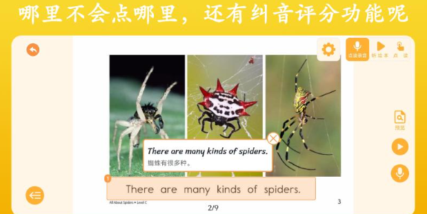 英语点读王官方版