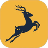 小鹿出行下载  v1.1.3