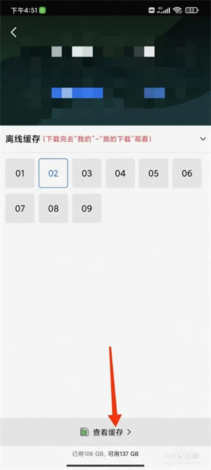 下载视频到手机截图3
