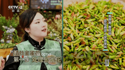 西夏TV0409去广告版