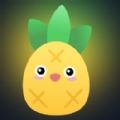 凤梨音乐app最新版 1.0.0