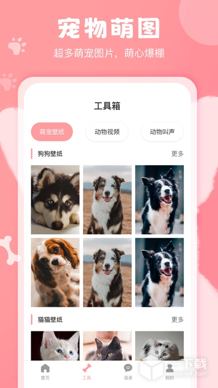 狗语翻译器 v2.9最新版下载