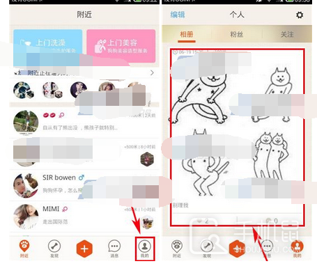 爪爪