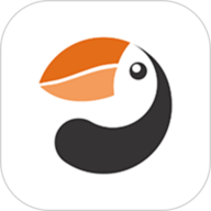 Alcidae