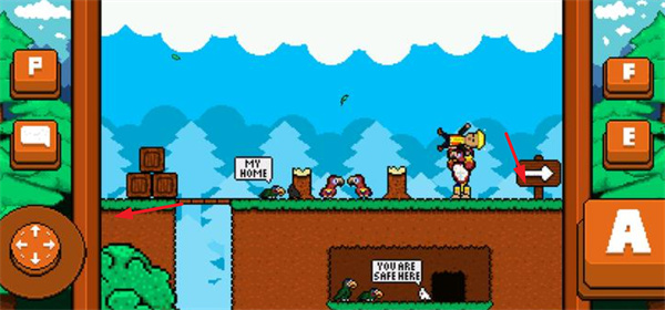 最后的金刚鹦鹉