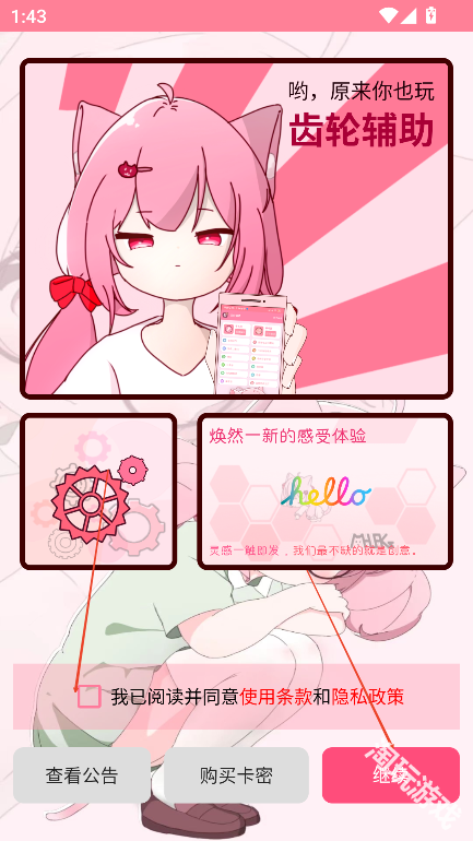 齿轮辅助