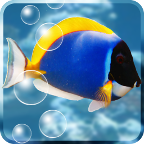 水族馆屏保动态壁纸