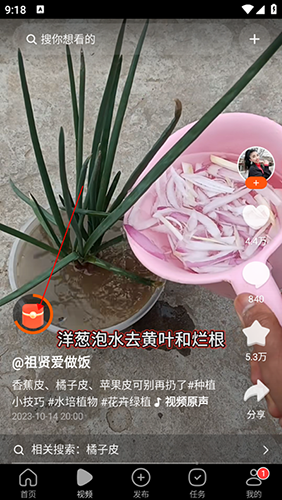 有柿最新版怎么赚钱2
