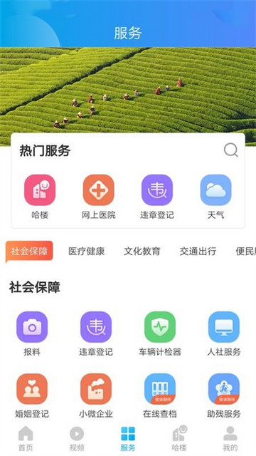 我德清手机版截图3