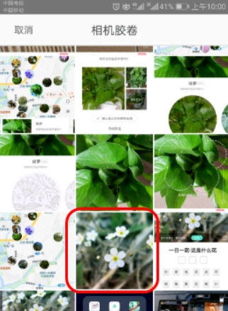 形色app2025最新版