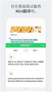 papago安卓版