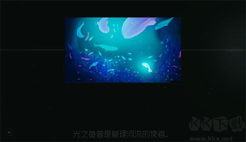 鲤