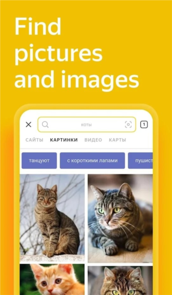 燕基科斯搜索app v25.62