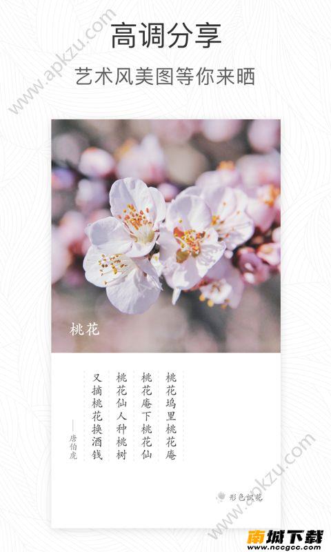 预览图2