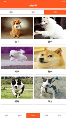 ȤèCat and Dog Translator