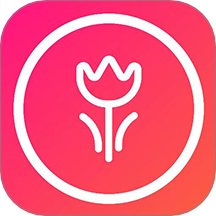 procatedrawing官方中文版