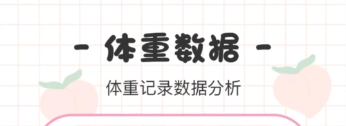 体重日记本2