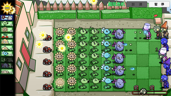 pvzbt°汾7.0