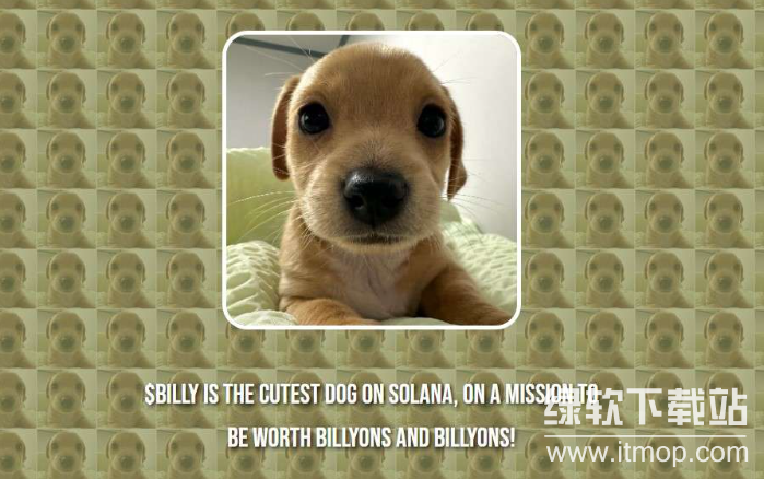 ‌Billy币本质是什么？是否已上线交易所？‌