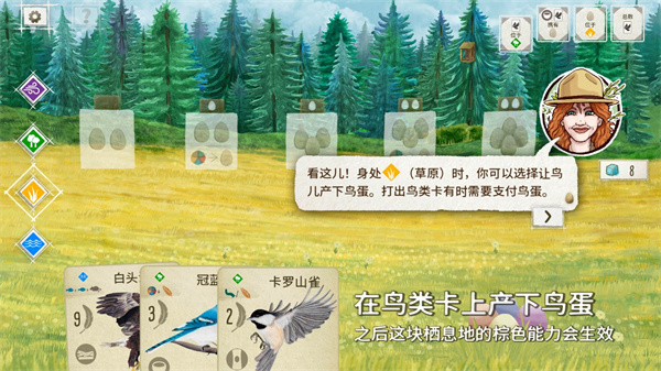 展翅翱翔桌游