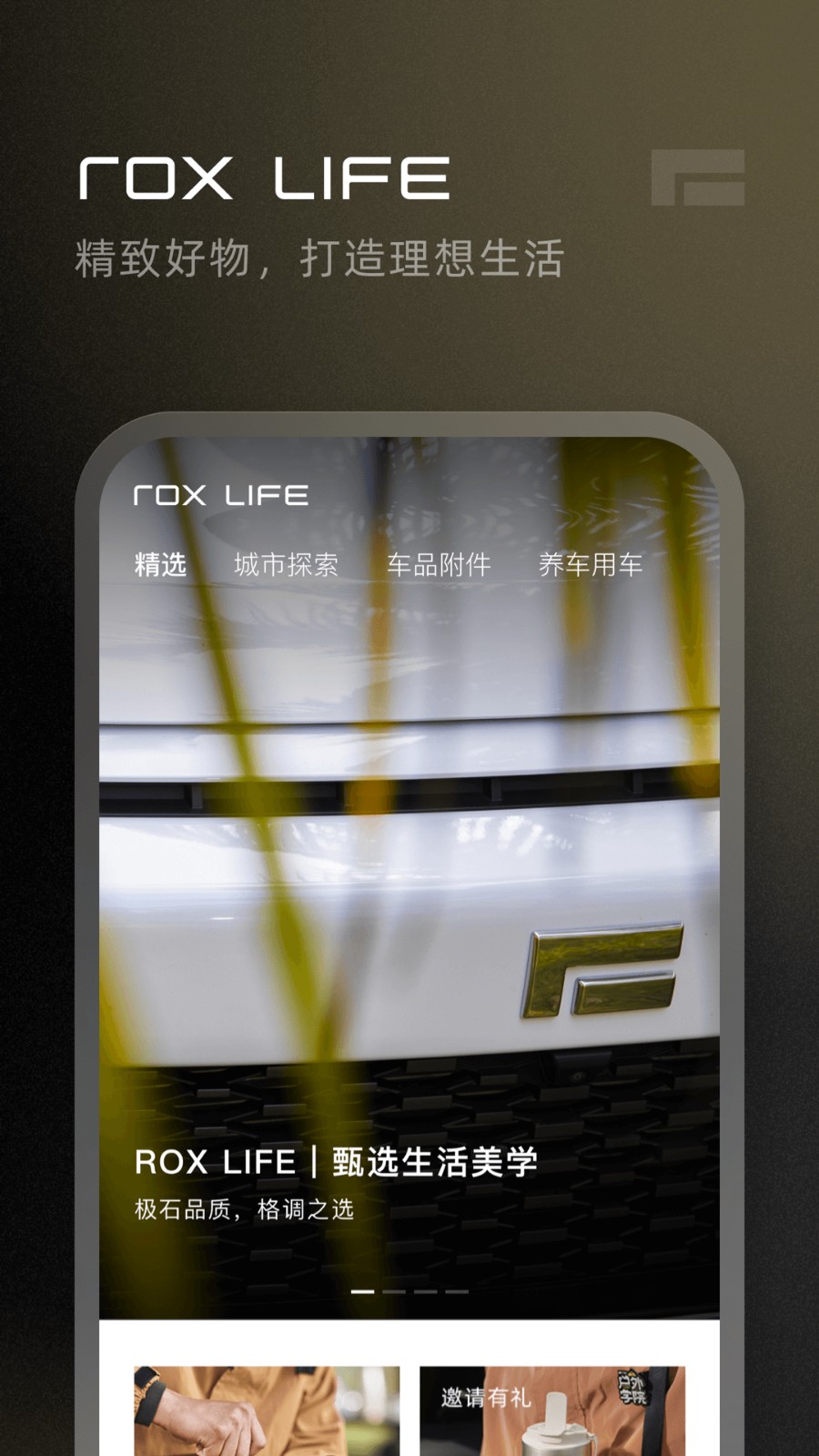 极石汽车app官方版下载截图