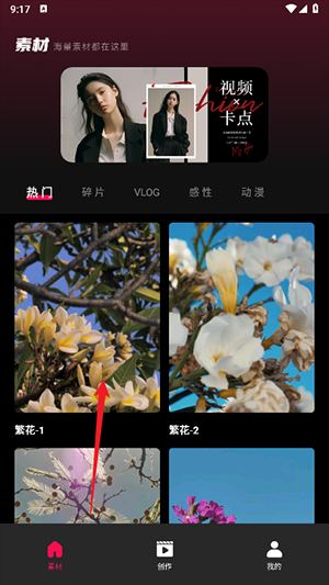 tibni安卓版