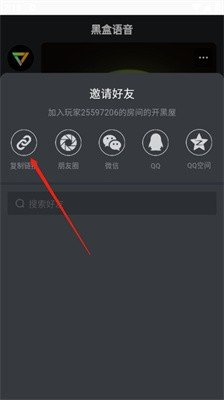 黑盒语音app4