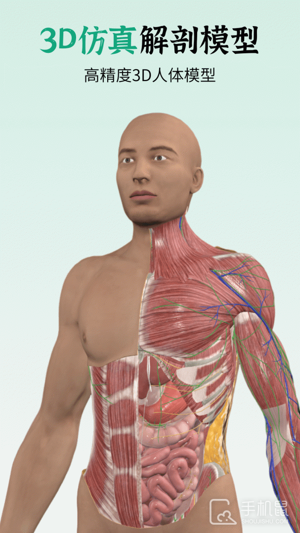 万康人体解剖 v3.2.11