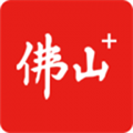 佛山+App  V7.3.3下载