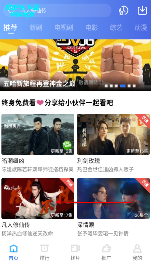 天鹅视频高清版