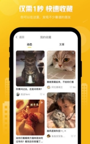 友猫1