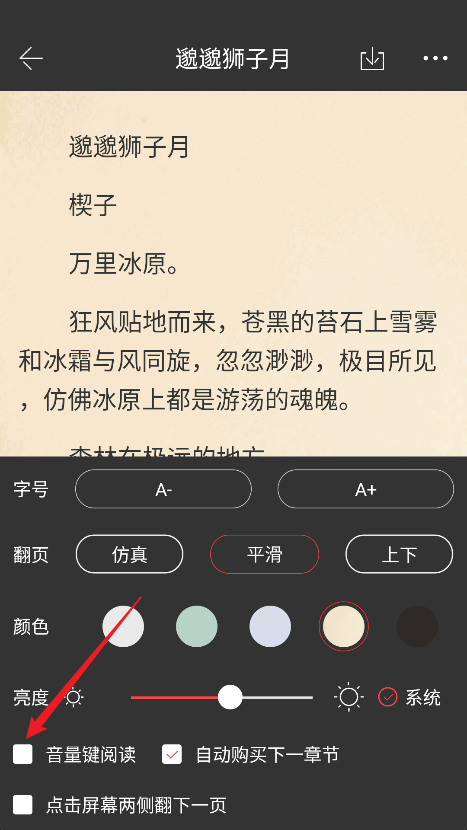 怎么开启音量键翻页截图4