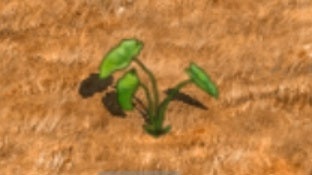 希望之村2来生官方版