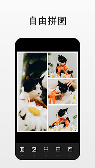 Fotor图片编辑器 v7.9.1.0