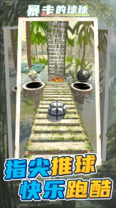 暴走的球球游戏下载  v1.1.6  